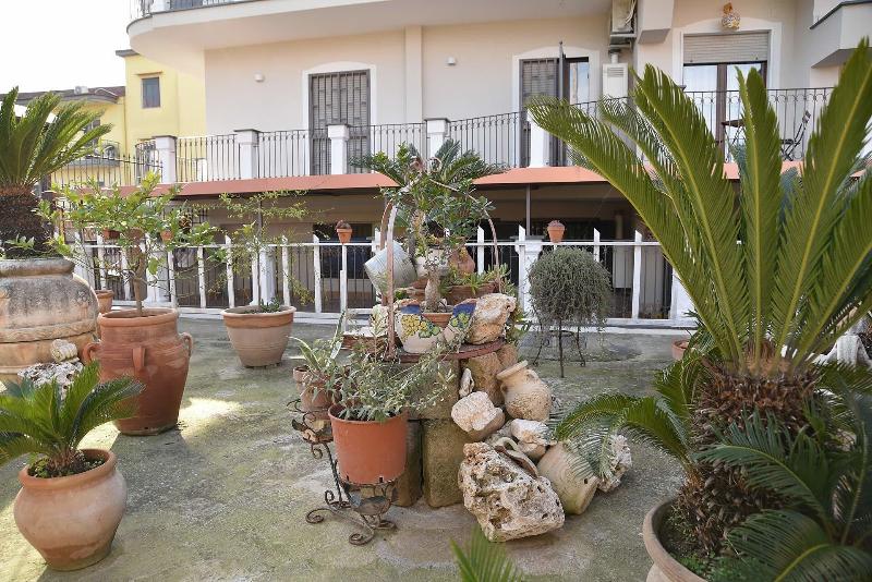 B&B Le Cycas - Genel