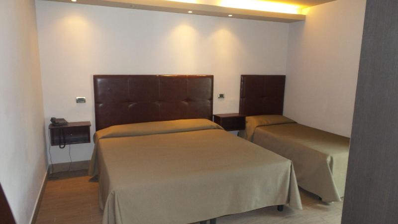 Bns Hotel Francisco - Oda