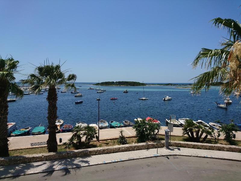 Hotel Riccio - Genel