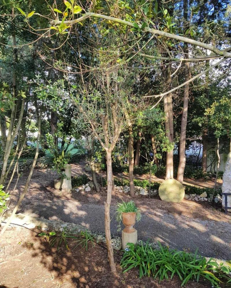 Casina Còpini - Genel