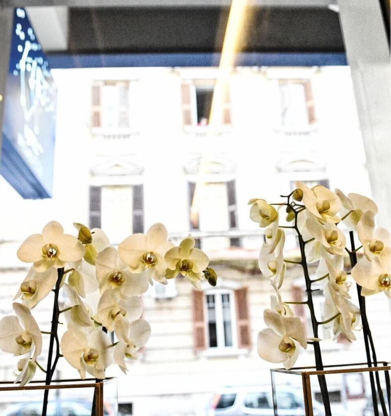 Hotel Up Museum - Wellness & Spa - Lobi