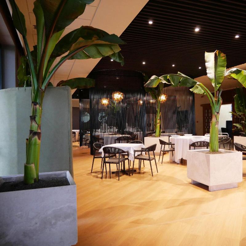 Saint Joseph Resort - Restoran