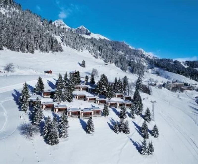 Leysin Lodge - Aktivite