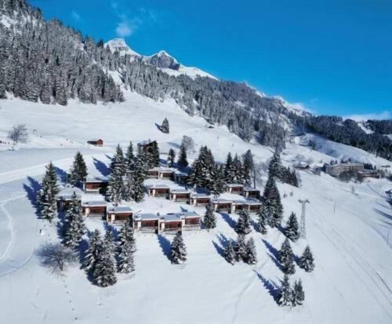 Leysin Lodge - Aktivite