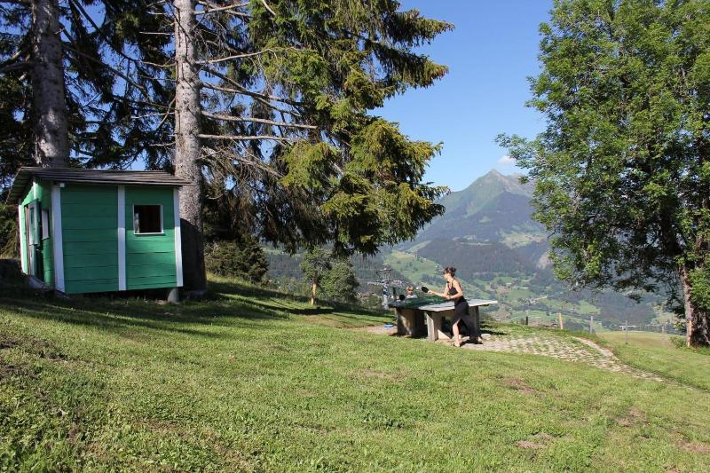 Leysin Lodge - Genel