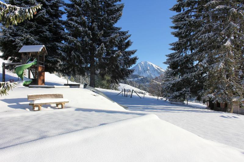 Leysin Lodge - Genel