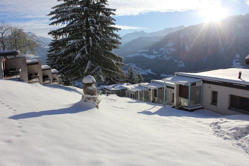 Leysin Lodge - Genel