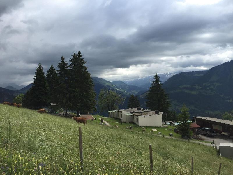 Leysin Lodge - Genel
