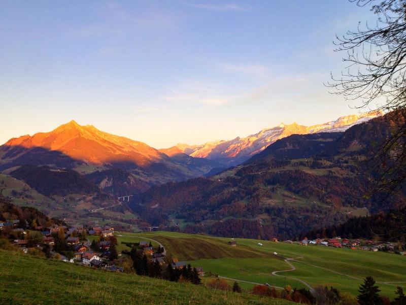 Leysin Lodge - Genel