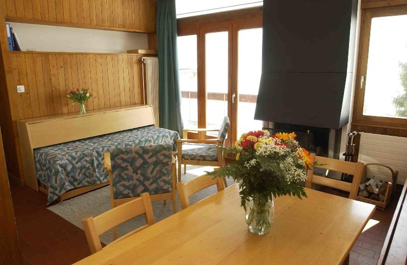 Leysin Lodge - Oda