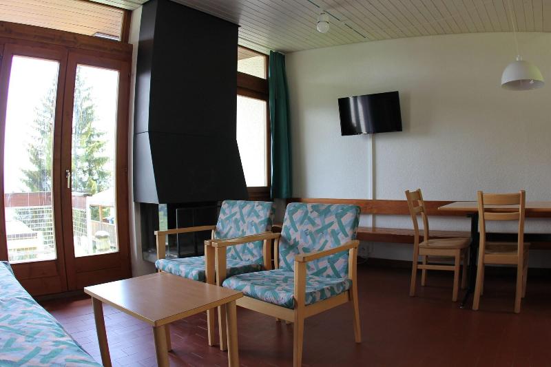 Leysin Lodge - Oda