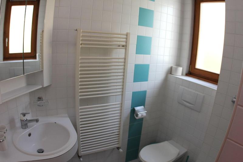 Leysin Lodge - Oda