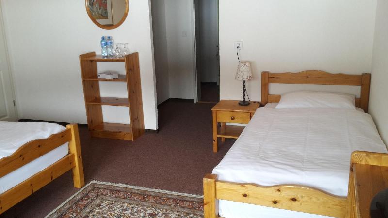 Hotel Roc Et Neige - Oda