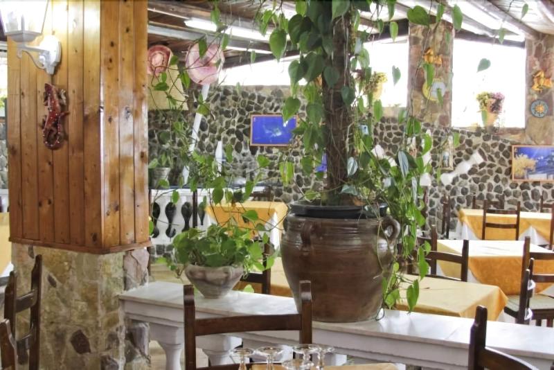 Hotel Restaurant Diana - Teras