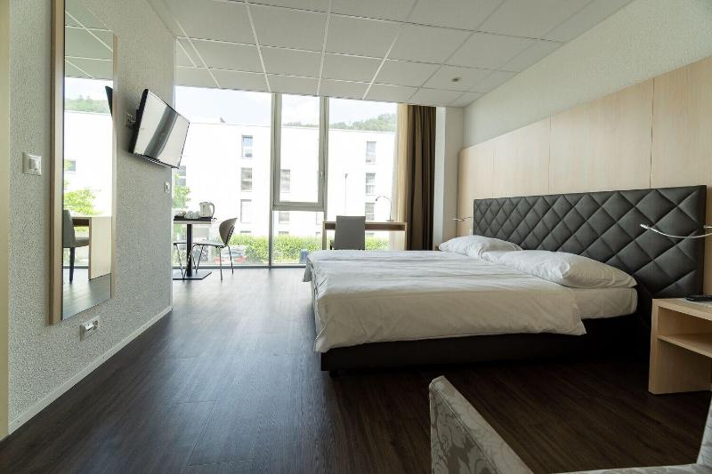 Hine Adon Apart Hotel Bern-Airport - Oda