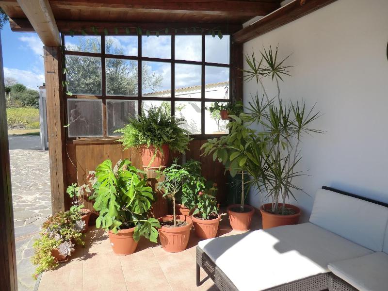 B&B Mediterraneo Mare e Sole - Teras