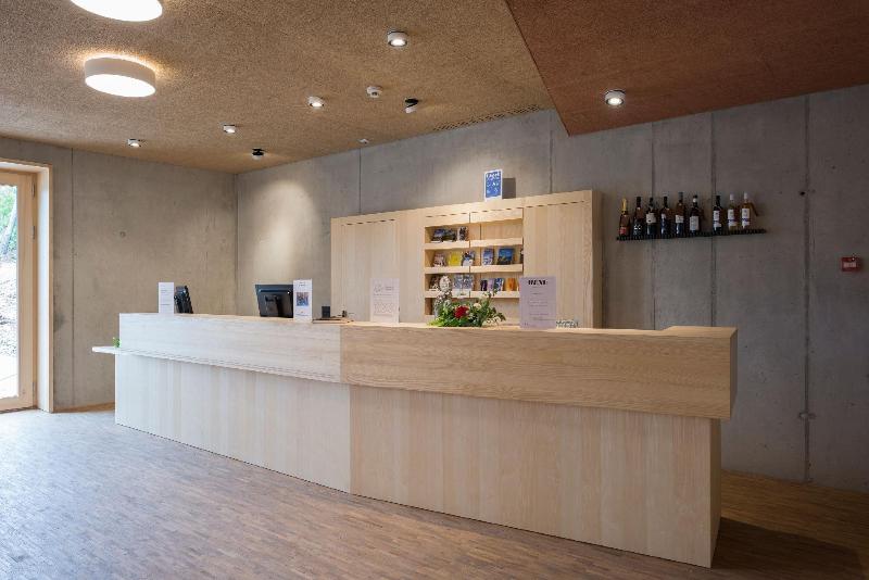 Youth Hostel Gstaad Saanenland - Lobi