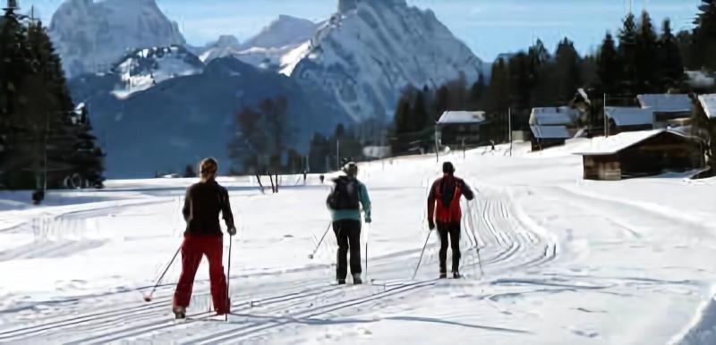 Boutique Hotel Alpenrose - Aktivite
