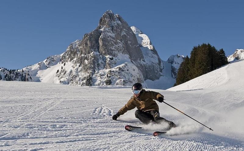 Boutique Hotel Alpenrose - Aktivite