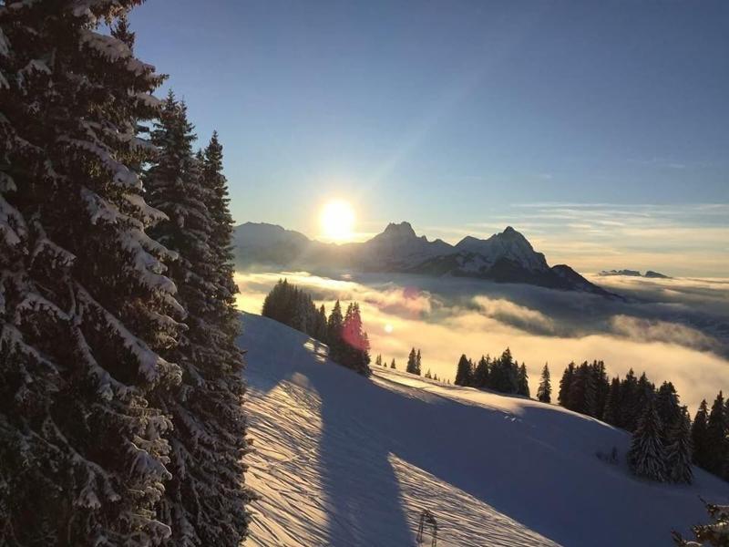 Boutique Hotel Alpenrose - Aktivite