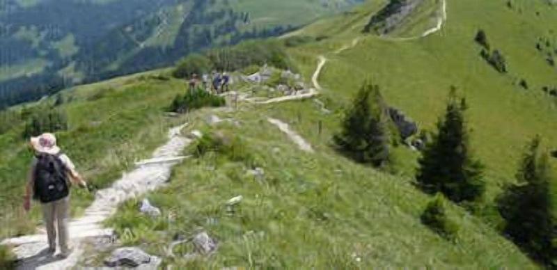 Boutique Hotel Alpenrose - Aktivite