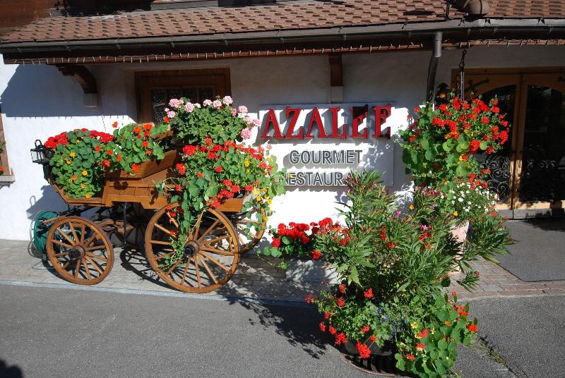 Boutique Hotel Alpenrose - Genel