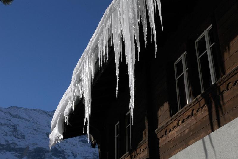 Youth Hostel Grindelwald - Genel