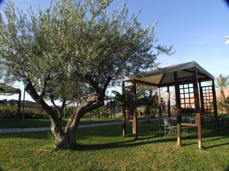 Borgo Nocchiara - Teras