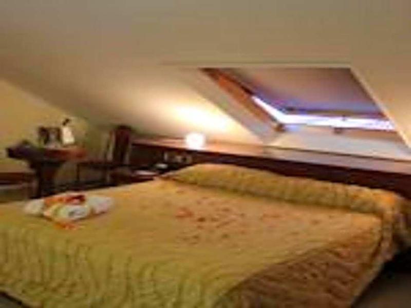 Lion's Hotel - Genel