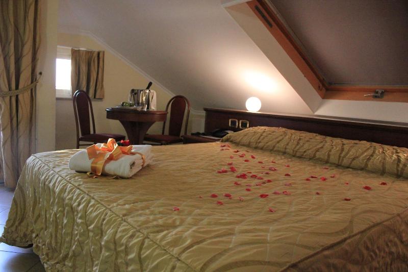 Lion's Hotel - Oda
