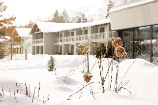 Amenity Hotel & Resort Lipno otel fotoğrafı
