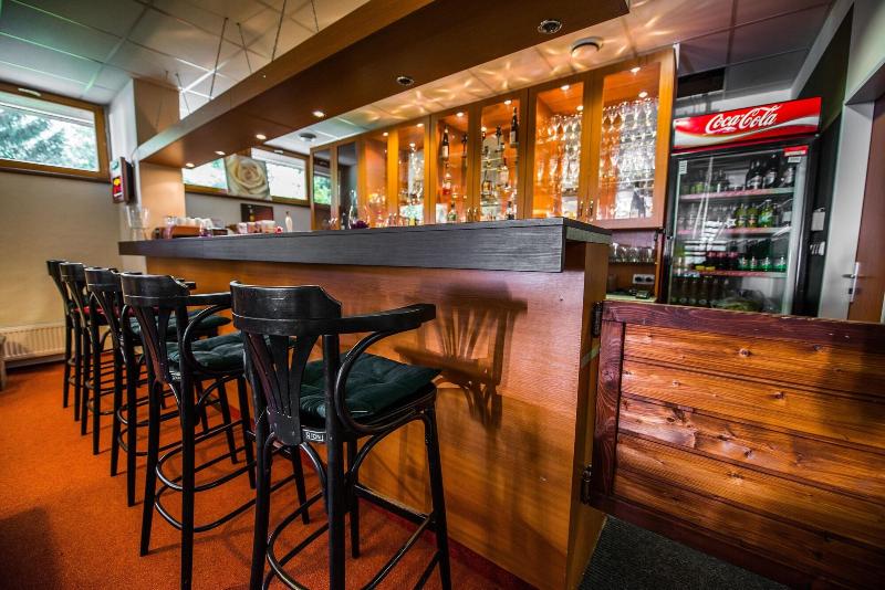 Parkhotel Harrachov - Bar