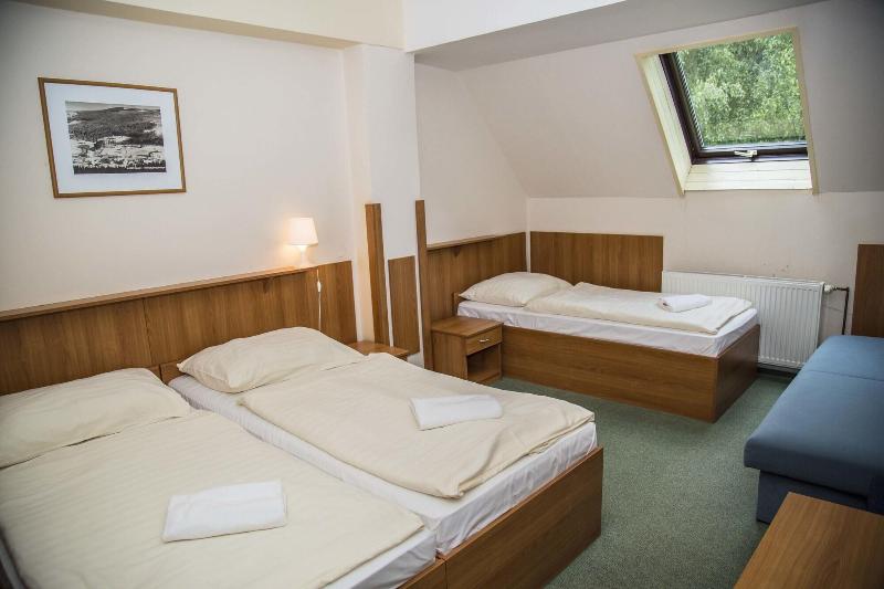 Parkhotel Harrachov - Oda