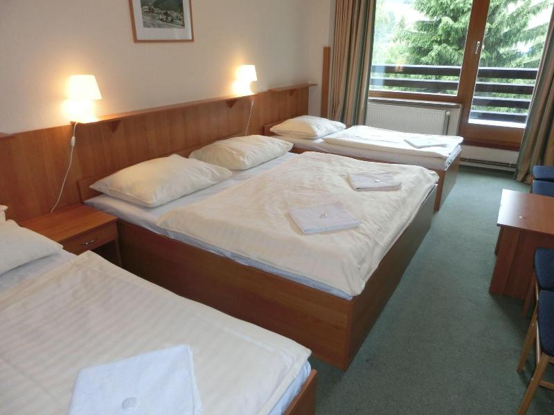 Parkhotel Harrachov - Oda