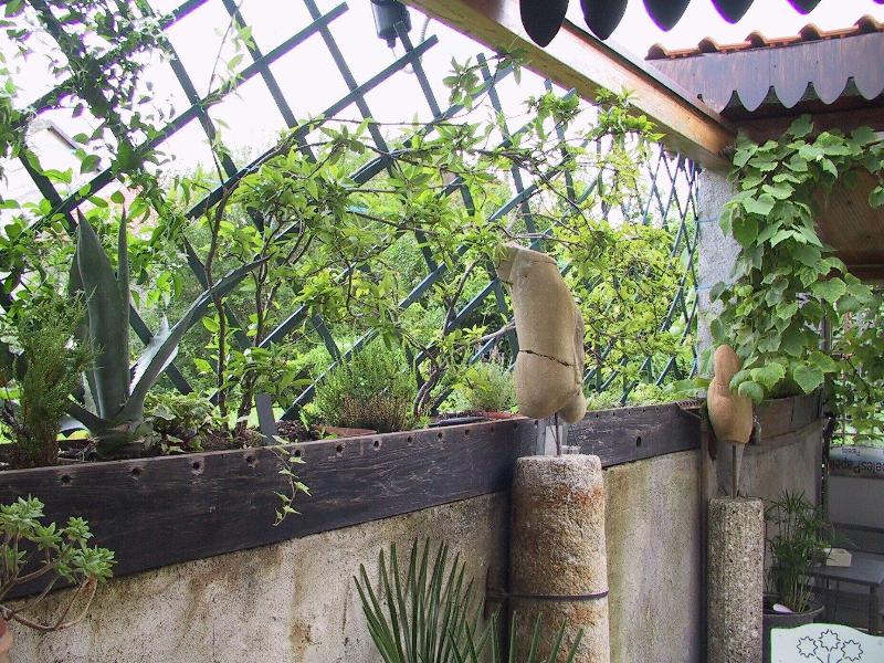 B&B Il Rustico - Genel