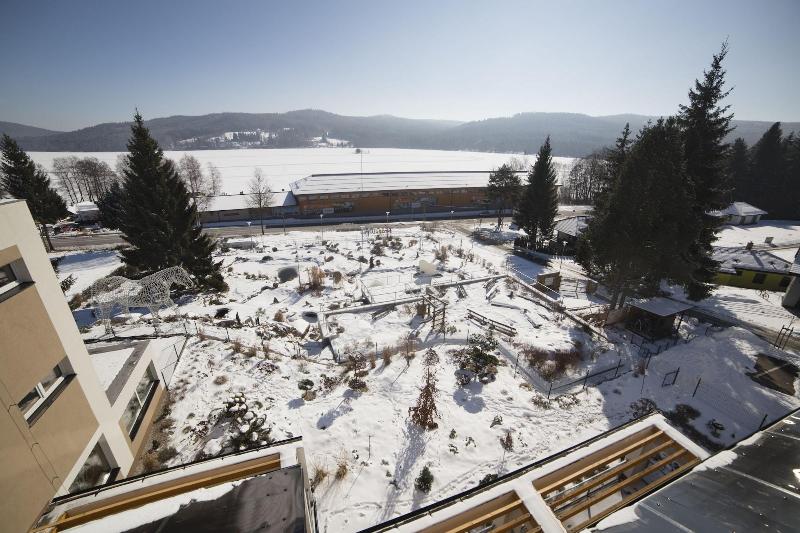 Hotel Star Lipno - Genel