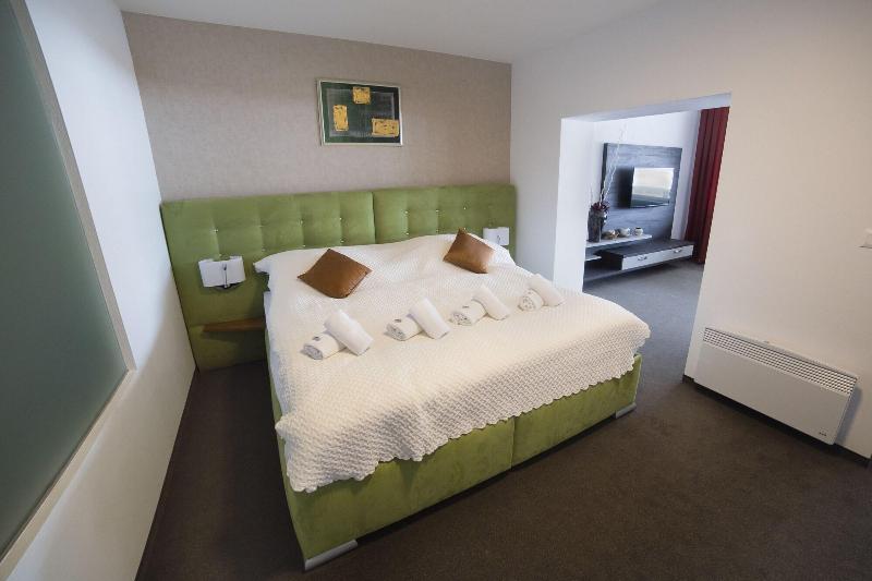 Hotel Star Lipno - Oda
