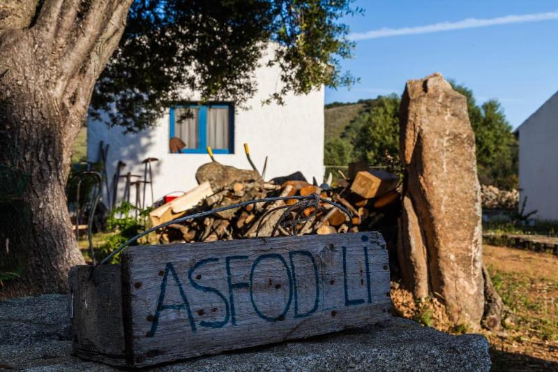 The Old Farm Asfodeli - Adults Only - Genel