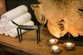 Pytloun Wellness Hotel Harrachov fotoÄŸrafÄ±