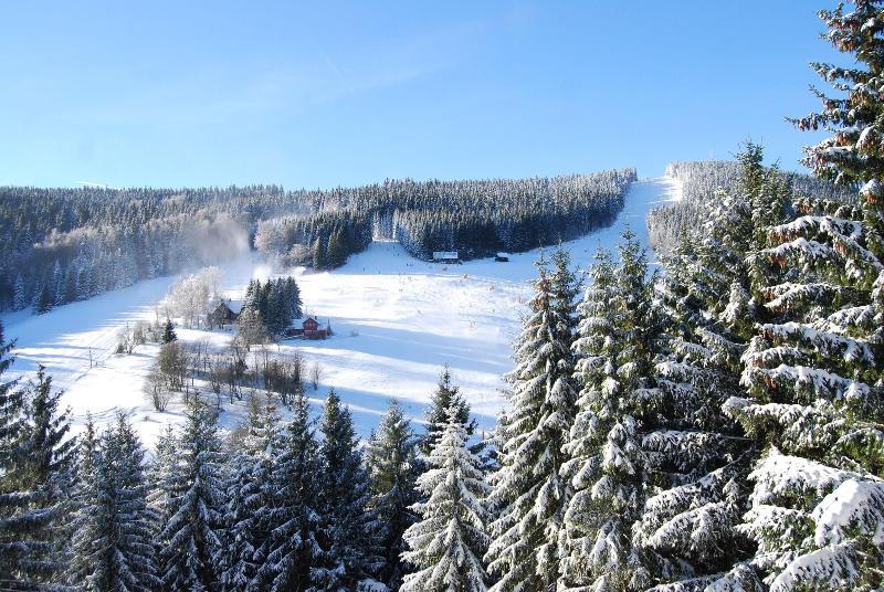Pytloun Wellness Hotel Harrachov - Genel