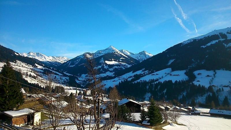 Alpbach Lodge Chalet Superior - Genel