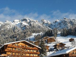 Alpbach Lodge Chalet Superior fotoÄŸrafÄ±
