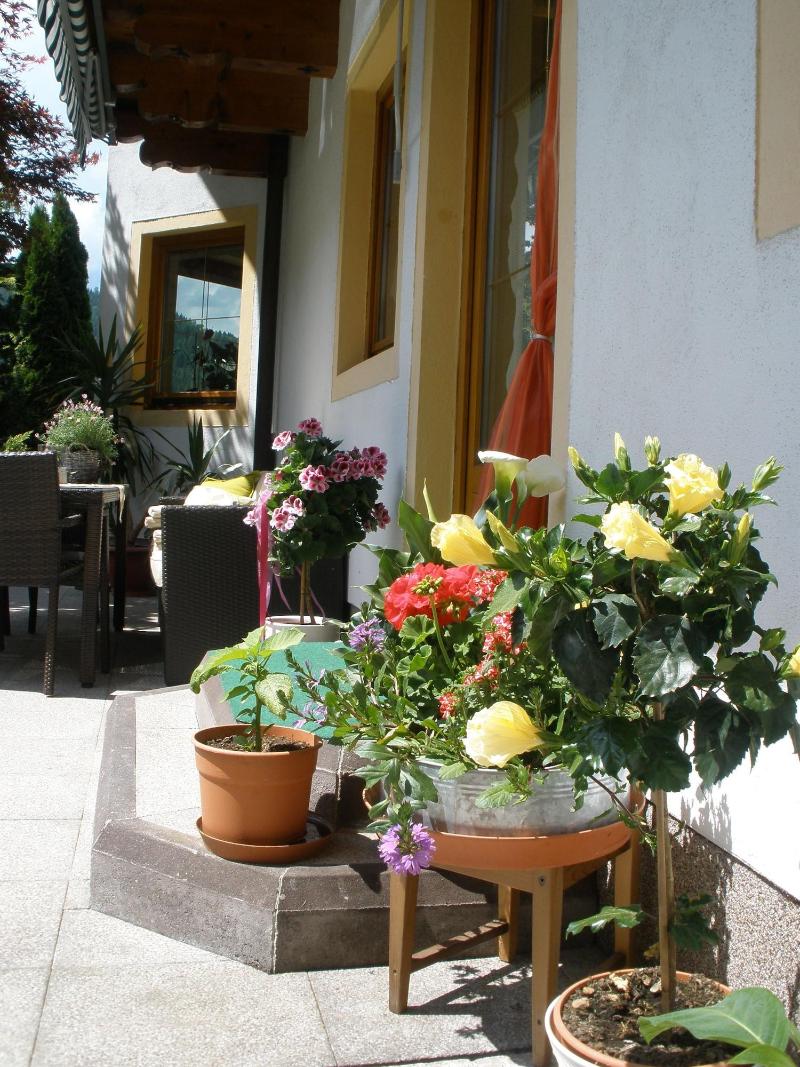 Ferienhaus Eva - Aktivite