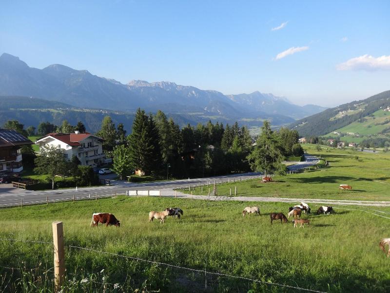 Haus Alpina - Genel