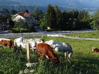 Haus Alpina fotoÄŸrafÄ±