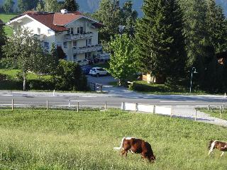Haus Alpina fotoÄŸrafÄ±