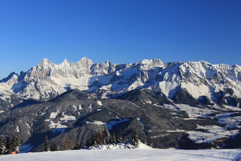 Haus Alpina - Oda