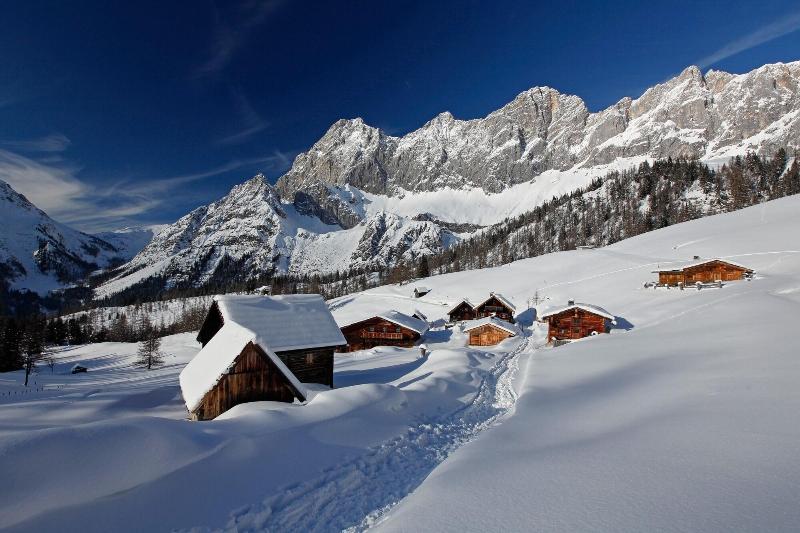 Haus Alpina - Teras