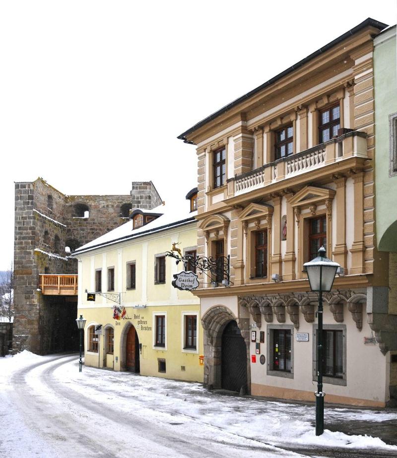 Hotel Zum Goldenen Hirschen - Genel