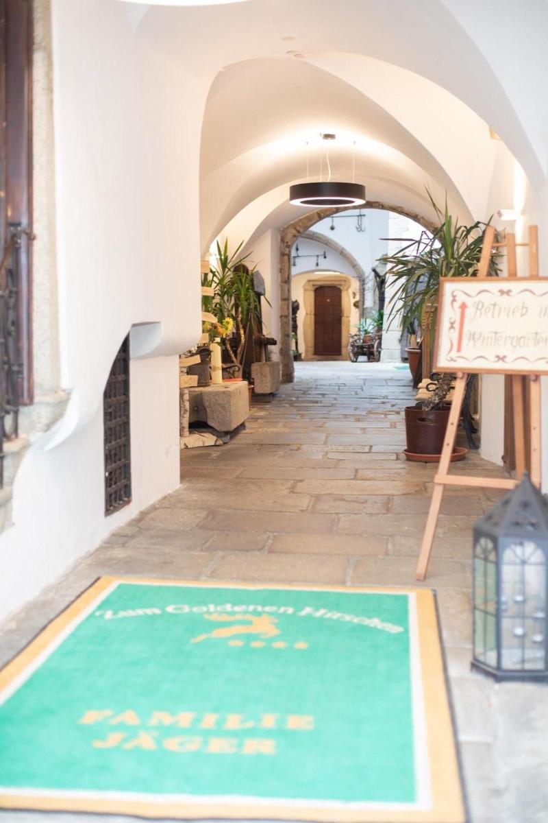 Hotel Zum Goldenen Hirschen - Genel